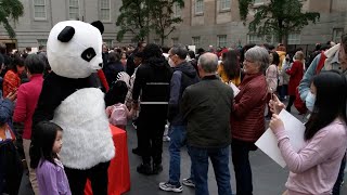 US Smithsonian Museum celebrates Chinese New Year [upl. by Dnalyag]