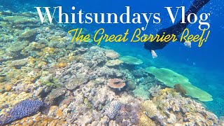 First Time Ever Snorkeling Part 2  The Great Barrier Reef  4K [upl. by Igal]