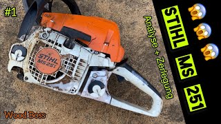 1 Stihl MS 251 😱😱😱 was ist da passiert 🙈 zerlegen der SägeBestandsaufnahme nach Crash 💥 [upl. by Farrow]