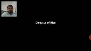 Bacterial Phytoplasma and Viral diseases of Rice  PAT 301 [upl. by Shelton]