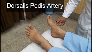 Dorsalis Pedis Artery Clinical Examination [upl. by Floro]