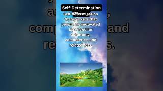 Self Determination Theory [upl. by Falo]