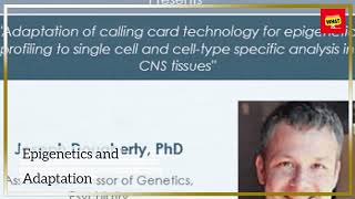 What Is the Role of Epigenetics in Evolutionary Biology [upl. by Yvaht]