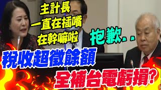 稅收超徵餘額quot全補台電虧損quotquot質詢狂插話王鴻薇忍不住quot開轟了quot朱澤民一聽quot急忙低頭道歉quot [upl. by Hebner]