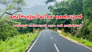 36ഹെയർ പിൻ വളവുകൾ താണ്ടി masinagudi വഴി ഊട്ടിയിലേക്ക് ഒരു മഴക്കാല യാത്ര [upl. by Nohshan]