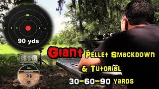 Benjamin Maximus 177 Air Rifle Review  Accuracy TEST  30  60  90 Yards  Budget PCP Airgun [upl. by Wehttam]