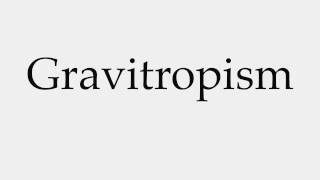 How to Pronounce Gravitropism [upl. by Tallia]