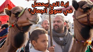 اكبر سوق جمال في مصر  Camel market in Egypt [upl. by Nonnac]