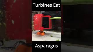 Wind Turbine VS Asparagus turbine 3dprinting experiment diywindturbine 3dprinted greenenergy [upl. by Wessling628]