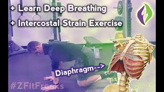 How To Diaphragm Breathing Exercises With Intercostal Muscle Strain [upl. by Rhodie]