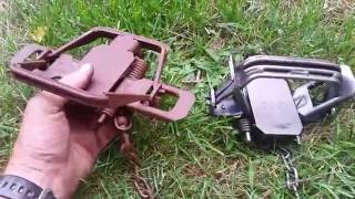 Bridger 2 Dogless 4 Coiled Fully Modified Traps Review [upl. by Morvin]