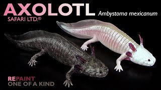 Safari Ltd ® Axolotl Ambystoma mexicanum 2024 Repaint amp Review [upl. by Tisbee841]