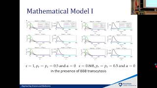 Modeling Transport and Neuronal Effects of Alzheimer’s Drug Donepezil Hydrochloride [upl. by Norat]