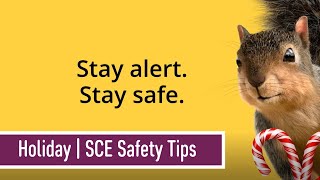 Holiday  SCE Safety Tips [upl. by Jacky]