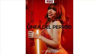 LINEA DEL PERREO REMIX EXTENDED YERI MUA  DJ DEYVI AVALOS [upl. by Yelyac]