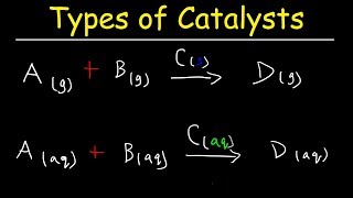 Homogeneous vs Heterogeneous Catalysts  Basic Introduction [upl. by Darum]