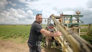 Familja nga Pestova që kultivojnë rreth 800 ton patate në vit [upl. by Ekrub]