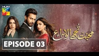 Muhabbat Tujhe Alvida Episode 3  Hum Tv  Drama 27th June 2020 [upl. by Trah]