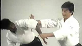 Aikido  7Th Dan Yoshimitsu Yamada  Instructional Videompg [upl. by Thomson]