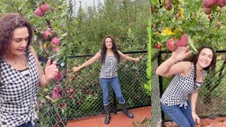 Preity G Zinta Apple Farms Tour In Shimla Ting Appleorchards farmlife familytime proudhimachali [upl. by Cornwall795]