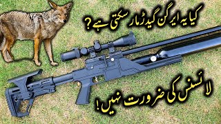 Kiya  Yeh Airgun Geedar Mar Skti hy  Review 2022 [upl. by Minnie105]