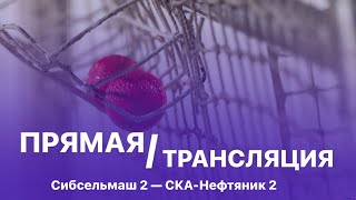 Сибсельмаш2 – СКАНефтяник2 Хабаровск [upl. by Nohtan]