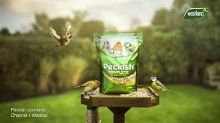 Peckish 2019 TV Sponsorship Channel 4 Weather Showreel [upl. by Eddie]