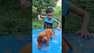 आरे नहीं मेरे पप्पी के साथ ये क्या किया 🤔😱 shorts emotional cute puppy comedy funny [upl. by Boehike]