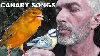 KANÁRI  The best Hungaryan canary song and video [upl. by Sacksen]