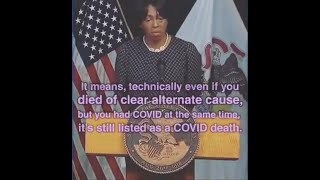 Dr Ngozi Ezike  How COVID Deaths are Classified [upl. by Mohammad237]