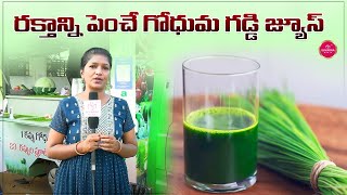 wheatgrass Juice Benefits  Godhuma Gaddi Juice  Health Tips Telugu  Suvarna Media [upl. by Eanad]