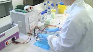 Running an Agarose Gel  University of Leicester [upl. by Laidlaw274]