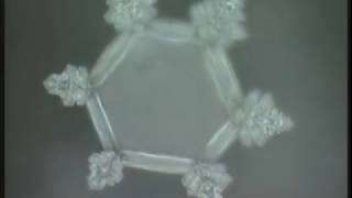 Masaru Emoto  Messages de lEau Documentaire [upl. by Mcdermott]