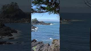 Uclulet BC Waves [upl. by Anaele]