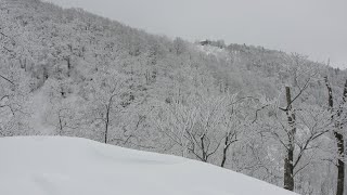 일본 🇯🇵 Akakura Onsen Ski Area 2010 [upl. by Leeban]