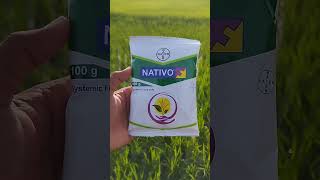 bayer nativo [upl. by Seadon]