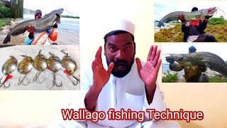 Wallago attu fishing Technique  Wallago macli Pakadna ka Tarika  Best Fishing Technique [upl. by Akiemahs54]