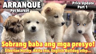 Arranque Pet Market Part 1  March 30 2023  Recto Manila [upl. by Masry767]