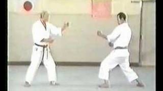 Wado Karate Techniques by Tatsuo Suzuki Sensei [upl. by Loveridge]