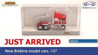 Brekina 187 Just arrived  exklusive for Model Car World  Kenworth K 100 Aerodyne [upl. by Harifaz]