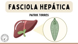 Fasciola hepatica [upl. by Arod]