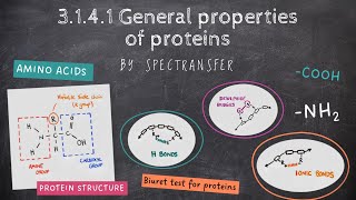 EASY REVISION AQA Alevel Biology 3141 General properties of proteins by SpecTransfer [upl. by Malvino789]