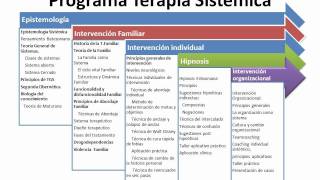 Terapia Sistémica presentaciónwmv [upl. by Herriott]