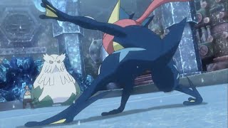 Pokemon Greninja vs Abomasnow Part 1 [upl. by Atinram149]