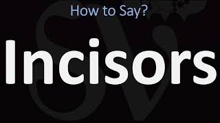 How to Pronounce Incisors CORRECTLY [upl. by Droffig913]