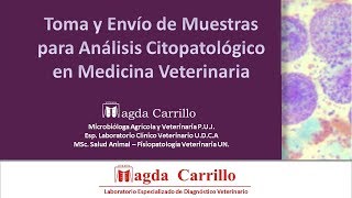 Toma y envío de muestras para análisis citopatológico en medicina veterinaria [upl. by Nebuer318]