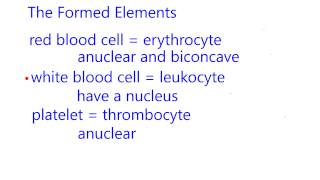 Blood2Formed elements Blood volume Terms [upl. by Ardnayek336]