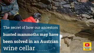 The secret of how our ancestors hunted mammoths may have been solved in an Austrian wine cellar [upl. by Appel]