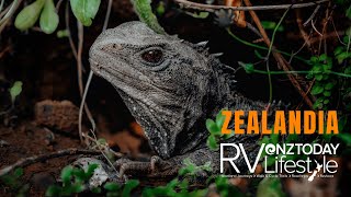 Zealandia  A wildlife sanctuary like no other in New Zealands capital city [upl. by Tommy]