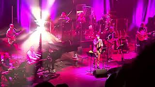 The Divine Comedy  Something in the Woodshed  Barbican 010922 live 2022 [upl. by Celina71]